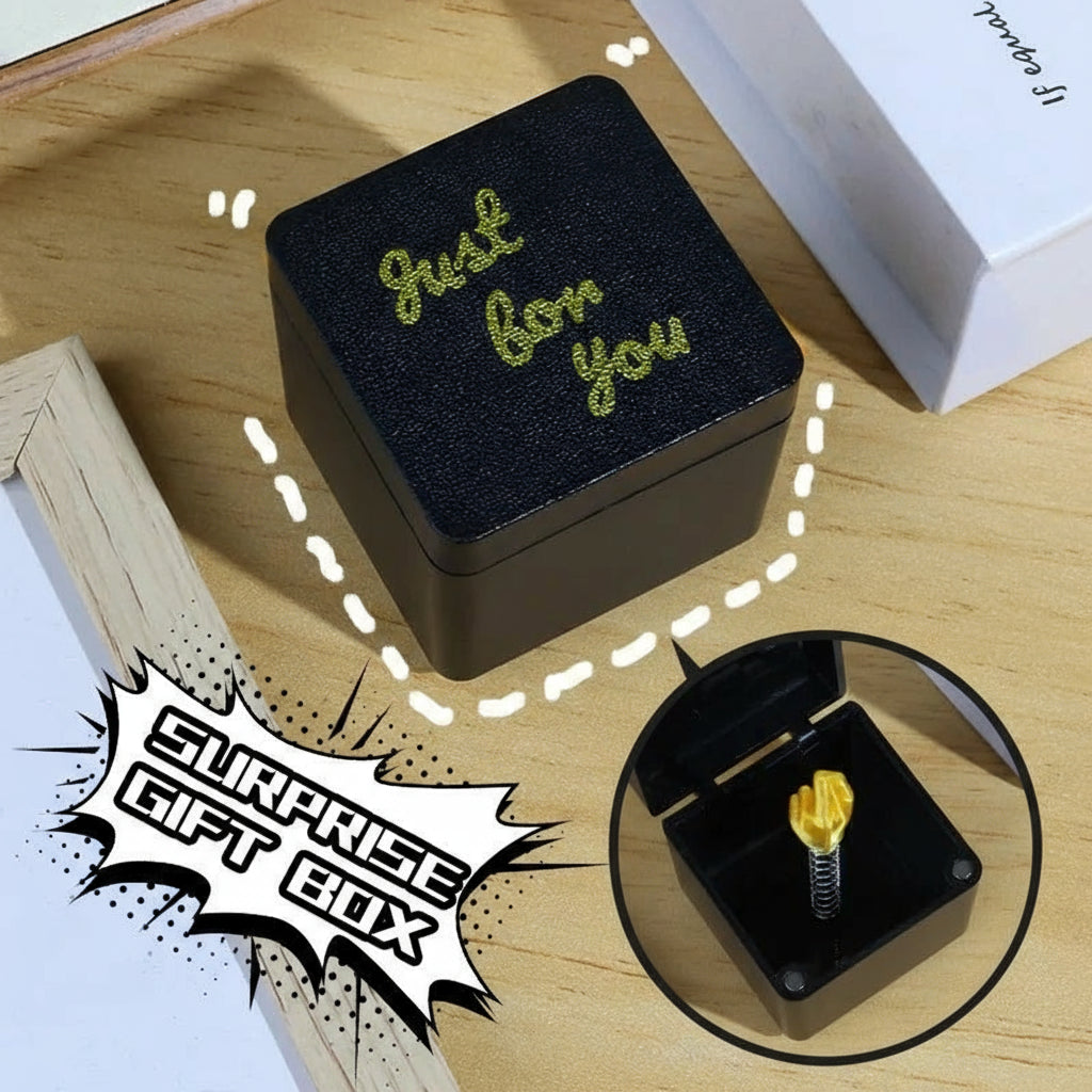 Christmas Prank Gift – “Middle Finger in a Box”