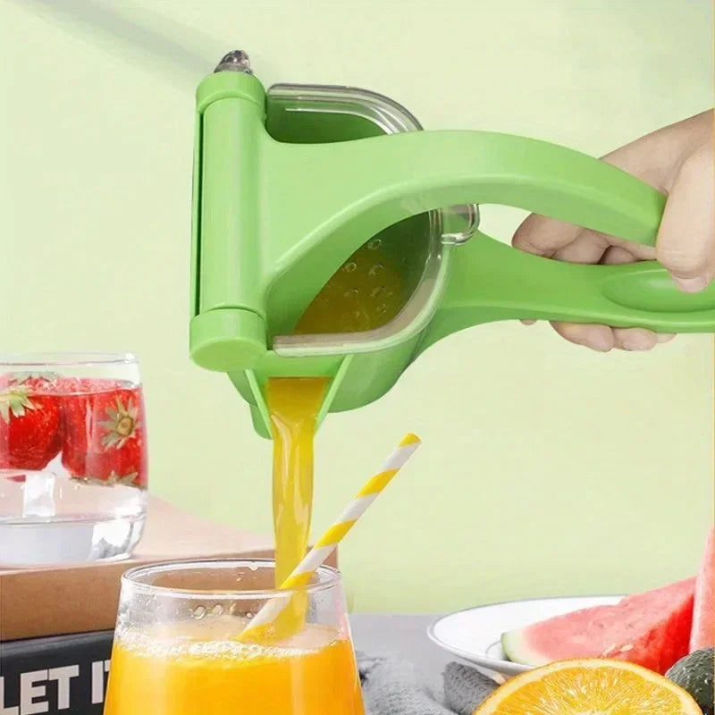 Hand juicer — residue/juice separation detail