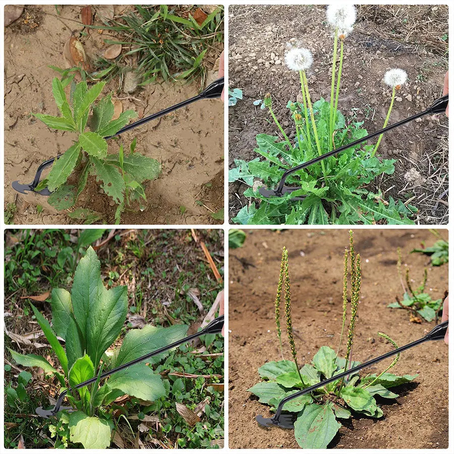 Hand hoe in use — garden bed