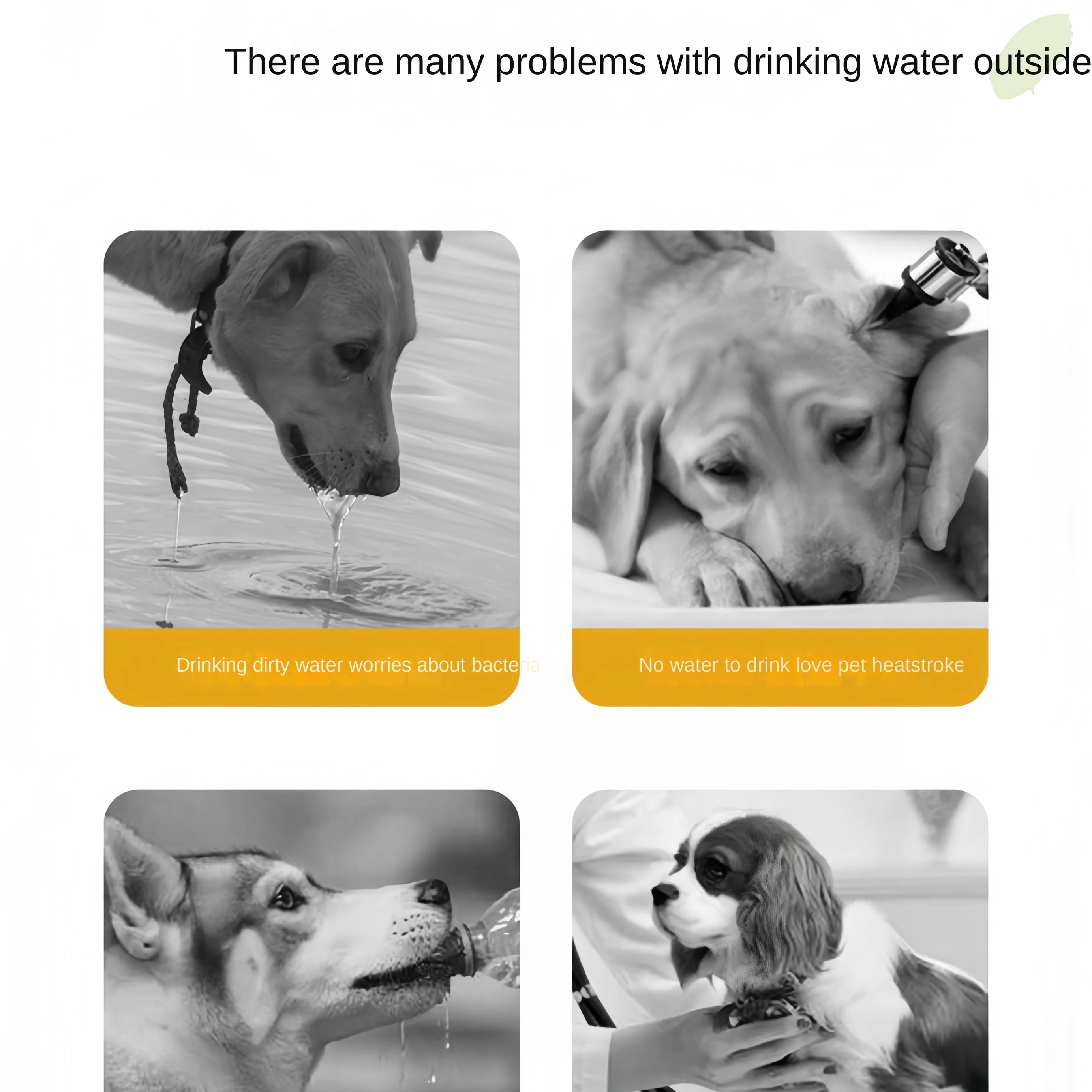 Automatic Pet Feeder with Water Dispenser