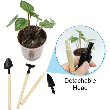 GreenGrow Gardening Set – 3pcs Mini Tools with Seeds & Potting Supplies