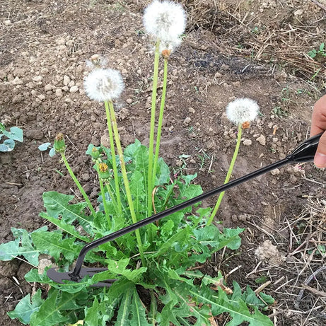 Garden Hand Tool – Carbon Steel Hoe