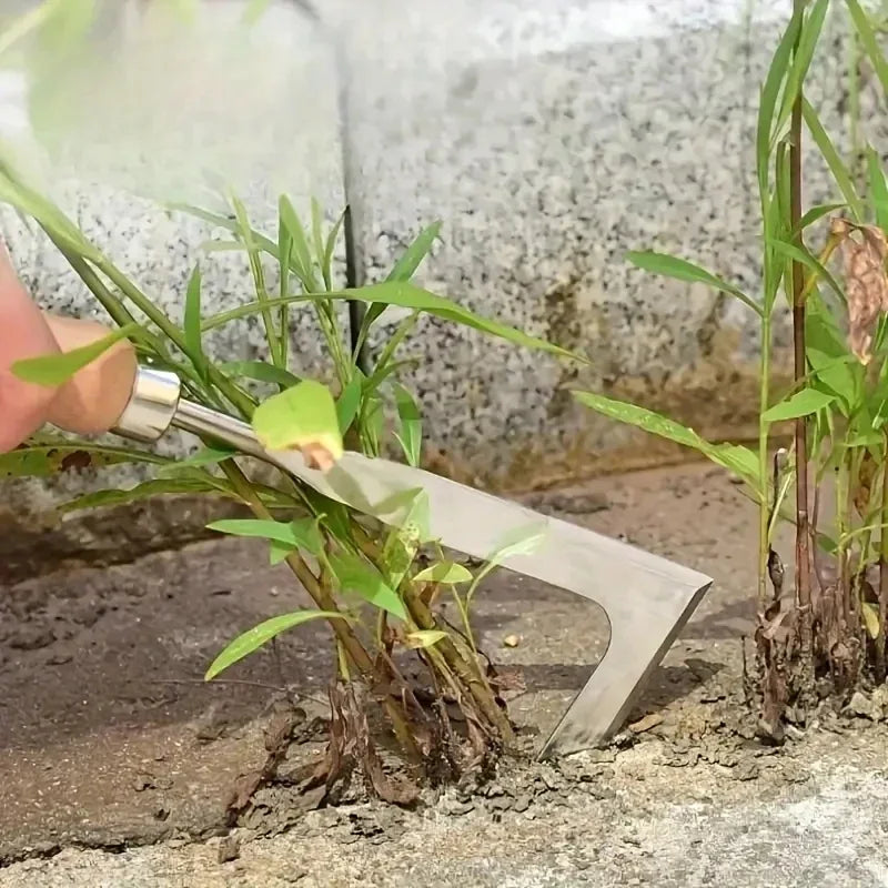 Cleaning weeds from paving joints and borders