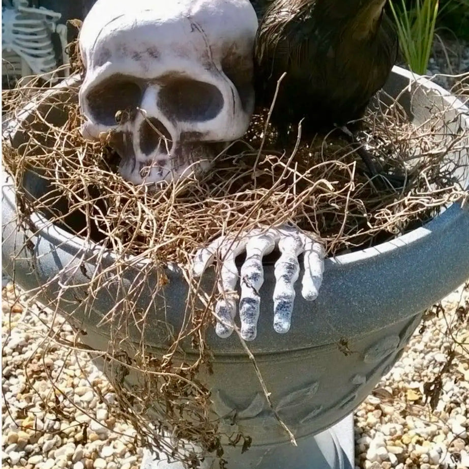 Halloween Skeleton Stakes – Realistic Skull & Bones Decoration
