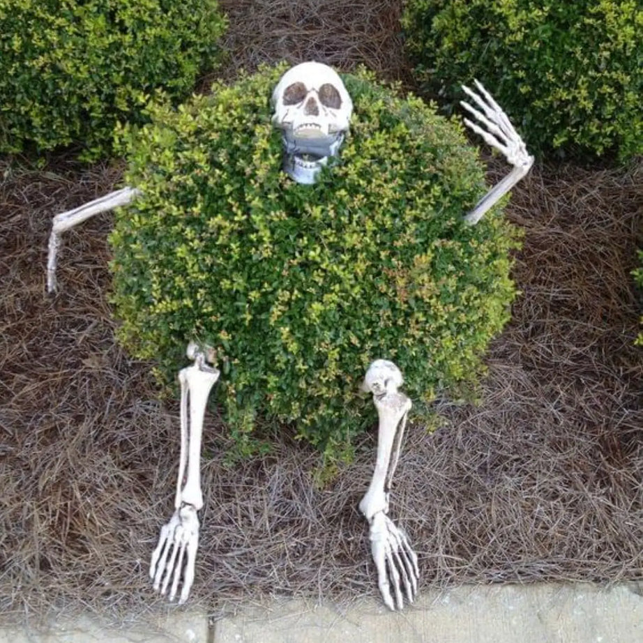 Halloween Skeleton Stakes – Realistic Skull & Bones Decoration