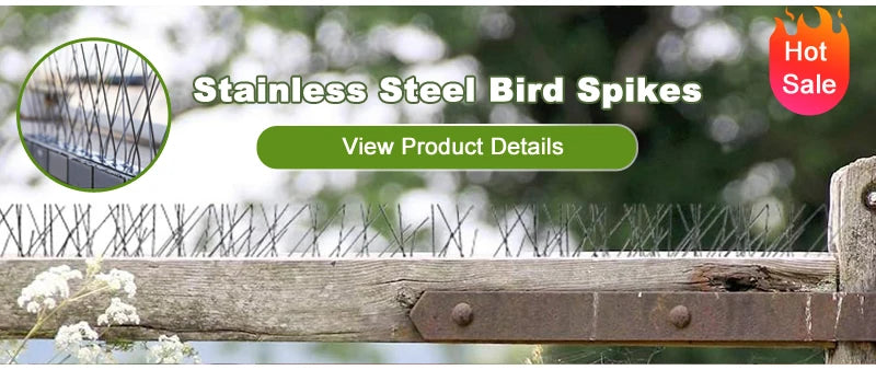 Garden Hand Tool – Carbon Steel Hoe