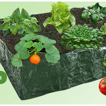 Garden Hand Tool – Carbon Steel Hoe