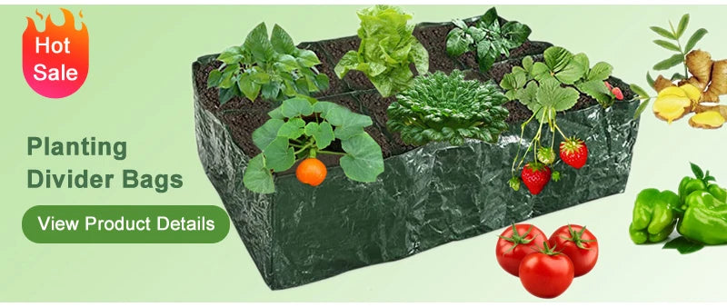 Garden Hand Tool – Carbon Steel Hoe