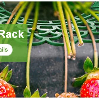 Garden Hand Tool – Carbon Steel Hoe