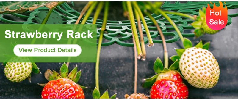 Garden Hand Tool – Carbon Steel Hoe